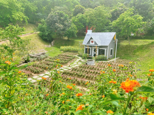Thung lũng hoa tại núi Ngăm Nam Định