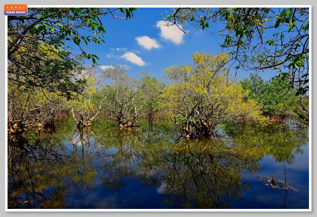 Khám phá hệ sinh thái và rừng ngập mặn tại vườn quốc gia Xuân Thủy Nam Định