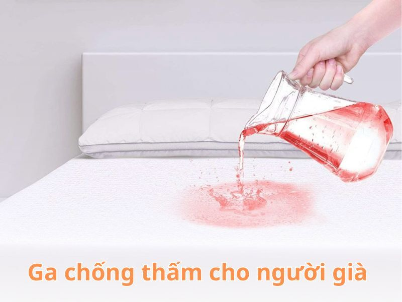 Ga Chống Thấm Cho Người Già