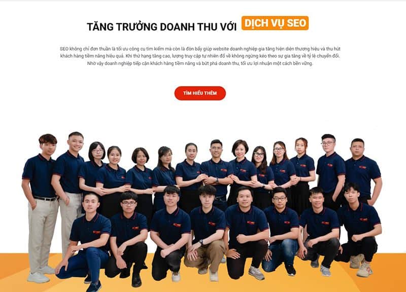 SEO VIET Giai phap SEO Tong the Ben vung hang dau